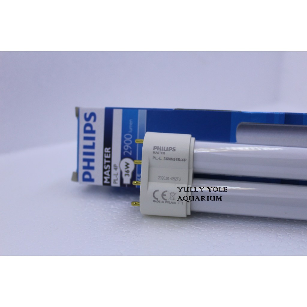 Lampu Tanning Arwana Phillips PLL 865 Polland PUTIH