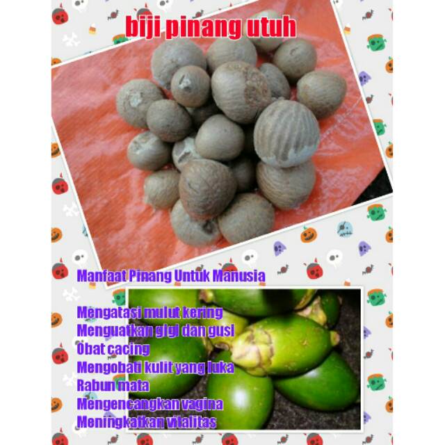 

Biji pinang utuh