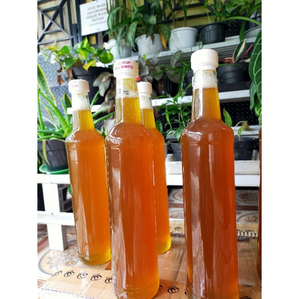 

MADU WANYI/LEBAH HUTAN LIAR KALIMANTAN