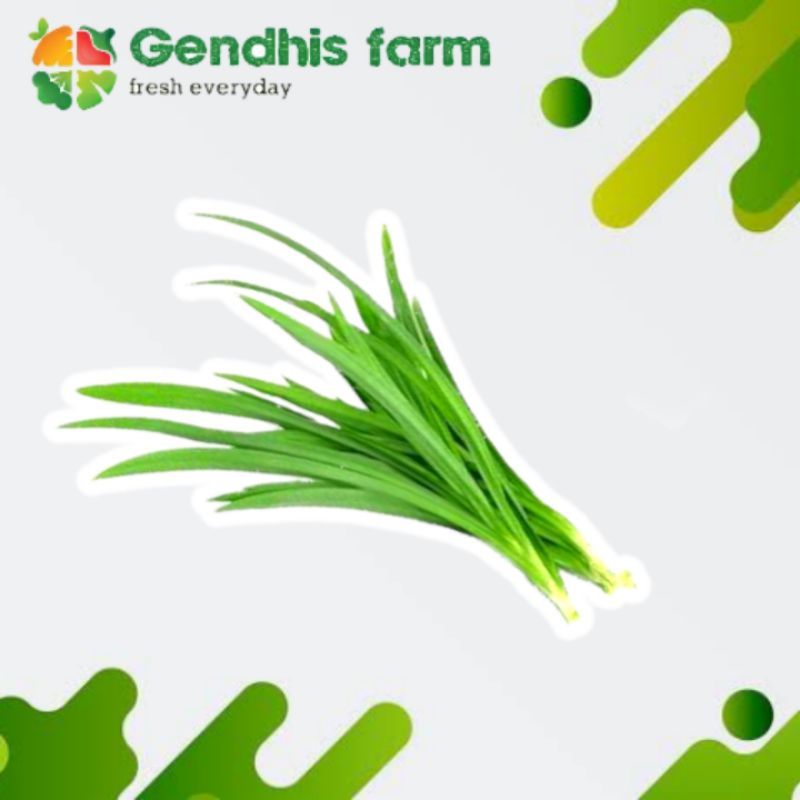 

Daun Pandan Segar [1 ikat]