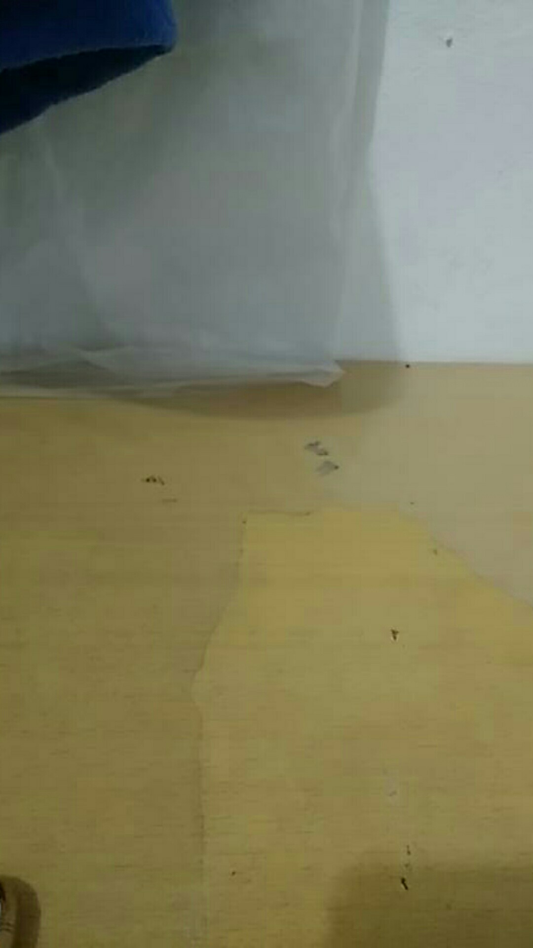 Baju Batik Wanita Modern Monalisa Genes M,l,xl Asli Pekalongan