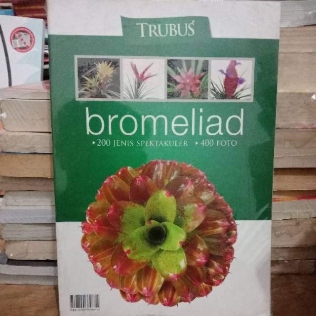 Bromeliad 200 Jenis Spektakuler