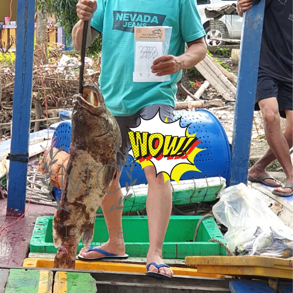 Konceran Tenggiri Barakuda / Rangkaian Kail Pancing Tenggiri Ring Bawah Cle Fishing