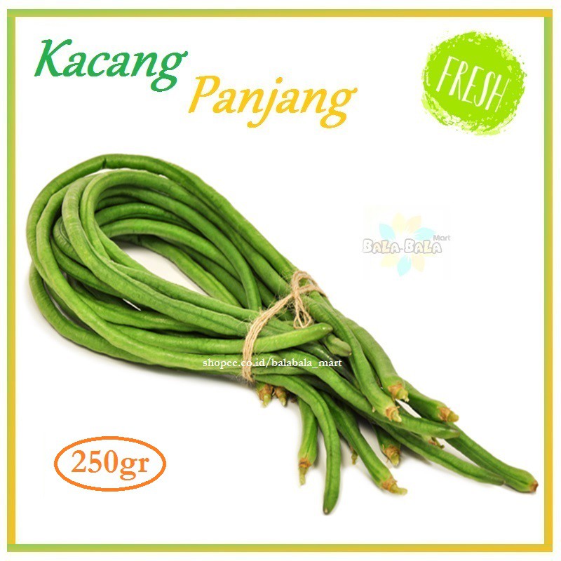 

Kacang Panjang
