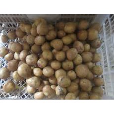 Kentang Kecil / Baby Potato 500 g