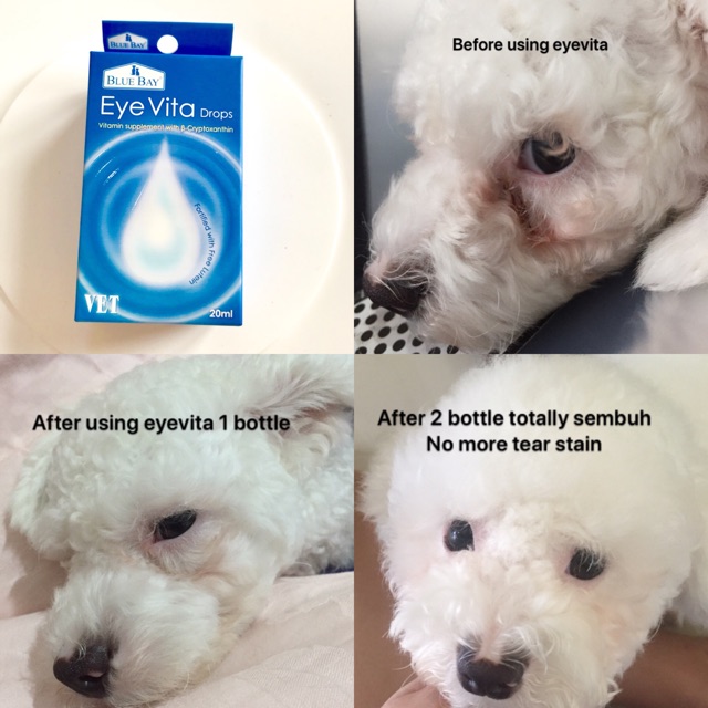 Eye vita tear stain remover for dog and cat