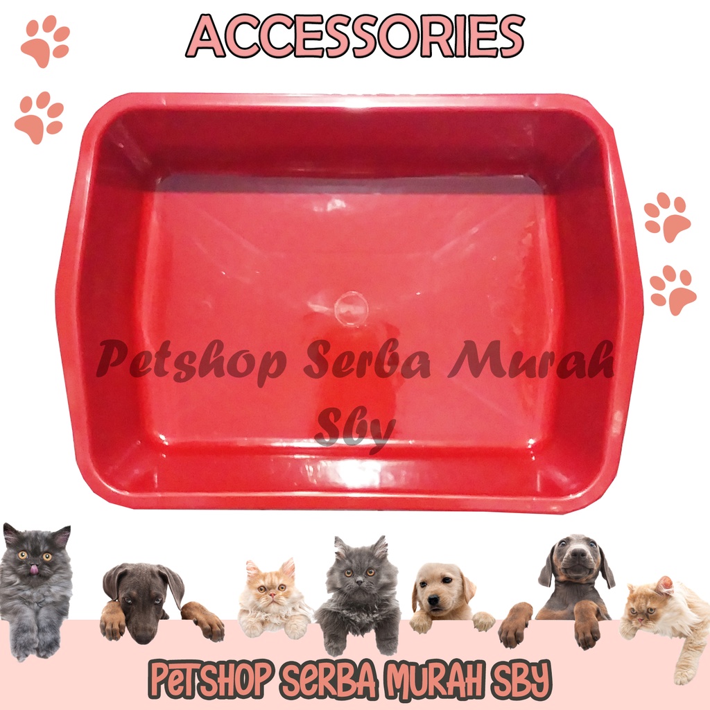 Litter Box LARGE / BESAR Untuk Pasir Kucing - Accessories Hewan Peliharaan