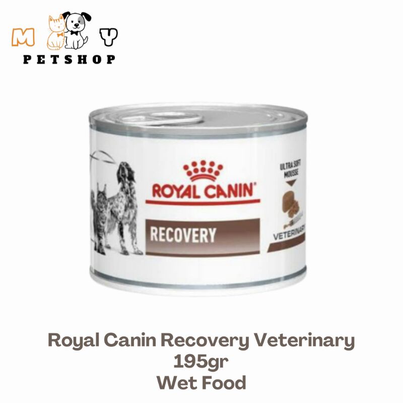 Royal Canin Wet Recovery 195gr. Makanan Basah untuk Kucing 195gr