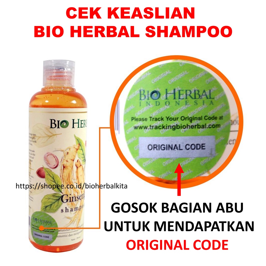 Shampo Rontok Parah Dan Ketombe Penumbuh Rambut Ginseng Paling Ampuh BPOM 250 ml B1P