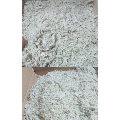 

Ikan Teri 250 gram