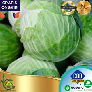 

KOL / KUBIS MASIH BARU DAN SEGAR 1/2kg - 1kg