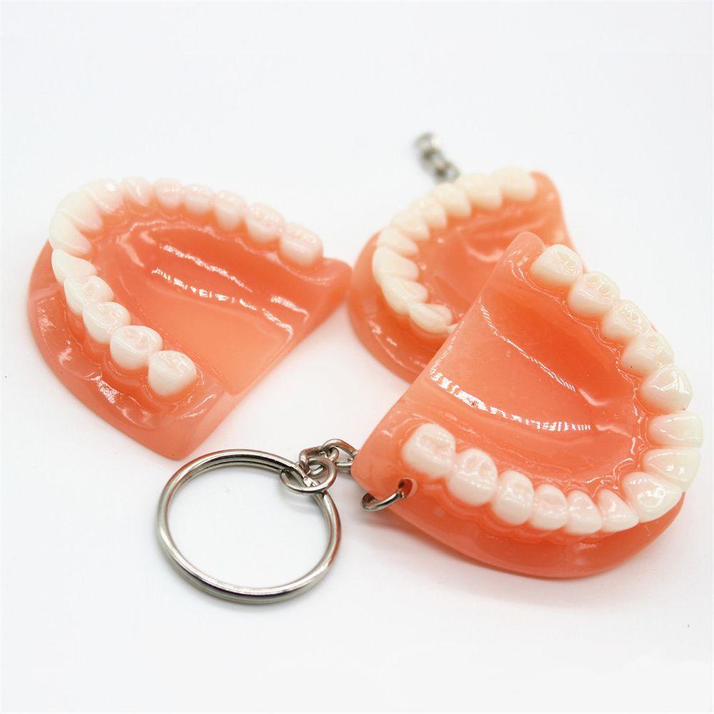 Lanfy Tooth Key Chain Dental Decoration Simulasi Kreatif Resin Bentuk Gigi Gigi Palsu Key Chain