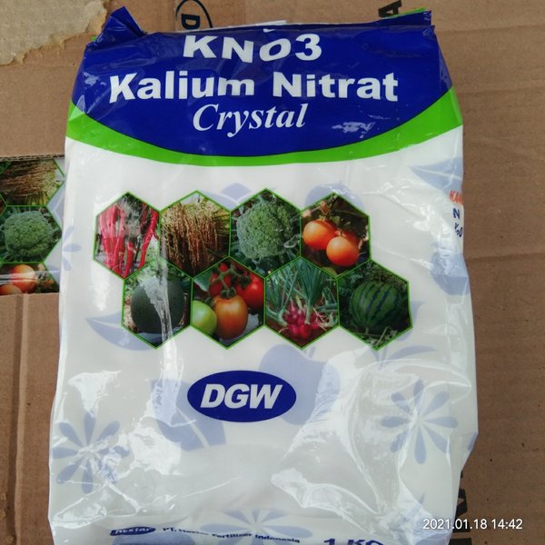 Original Pupuk KNO3 Putih Kristal dari DGW 1 kg