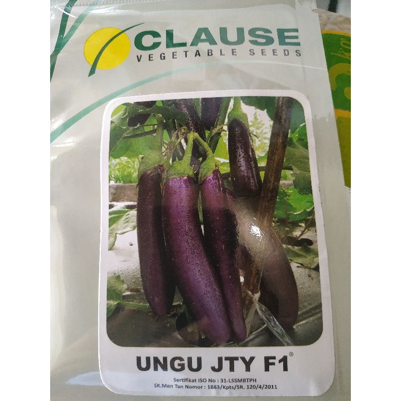 Benih Terong ungu JTY F1 Clause
