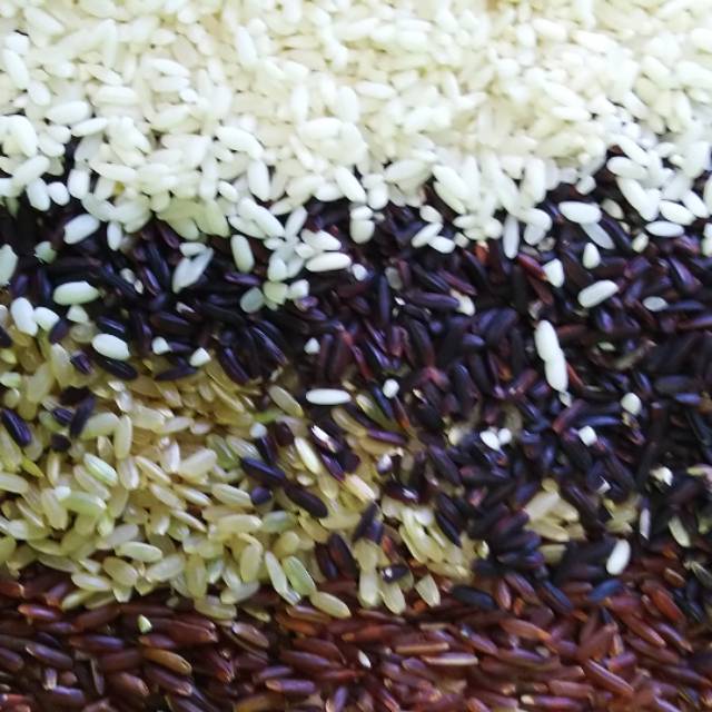 

beras untuk MP ASI beras mixx 200 gram.