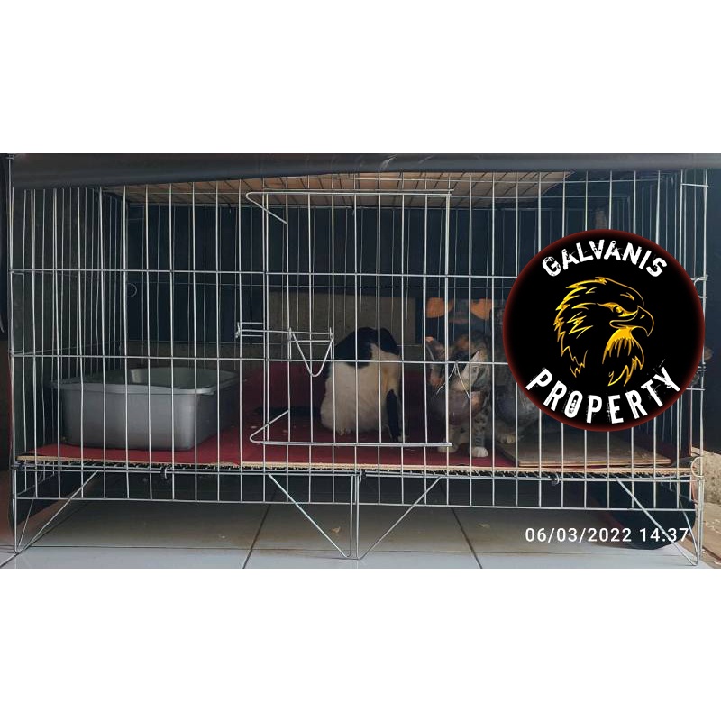 kandang kucing galvanis P120L60T60/kandang anjing/kandang kelinci/biawak/iguana/musang bahan galvani