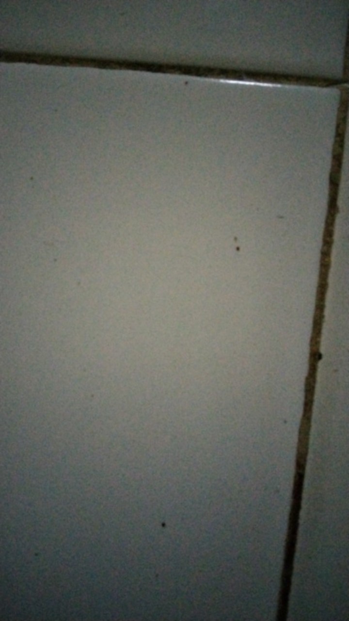 Kemeja Batik Pria M L Xl Xxl Xxl 3l 4l Baju Batik Pria Lengan Pendek Batik Atasan Pria Kantor Modern