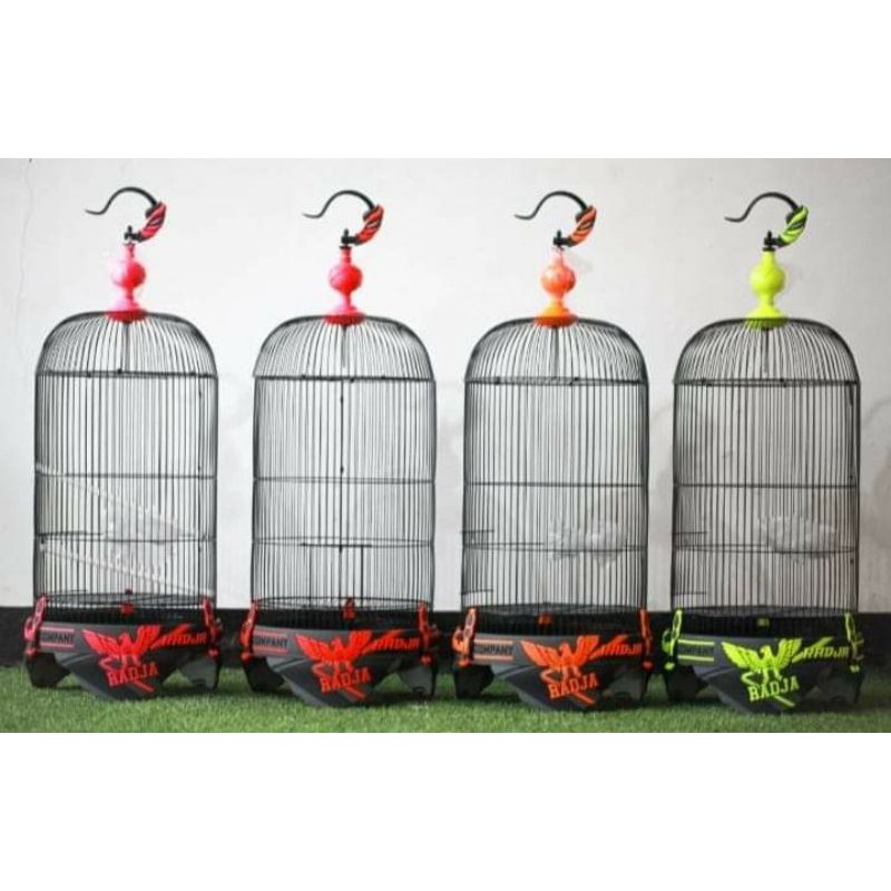 sangkar radja 3d lovebird