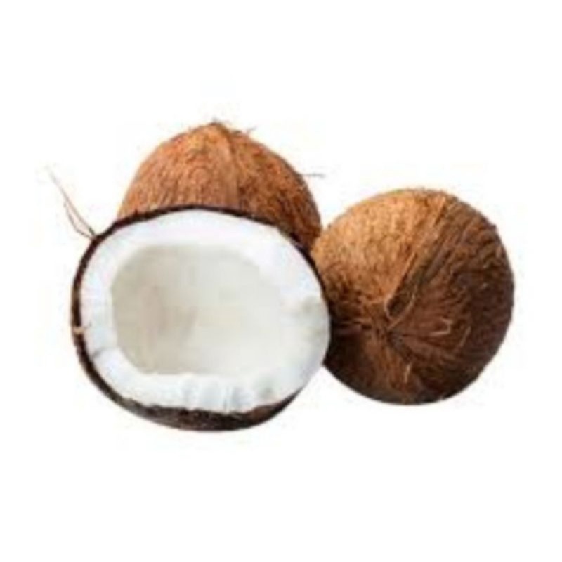 

kelapa parud