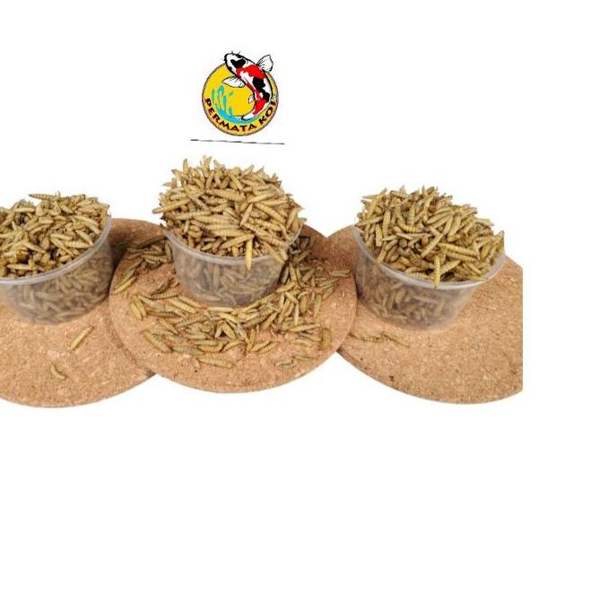 Magot kering kemasan 1kg