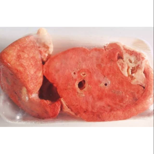 

paru sapi kemasan 1 kg