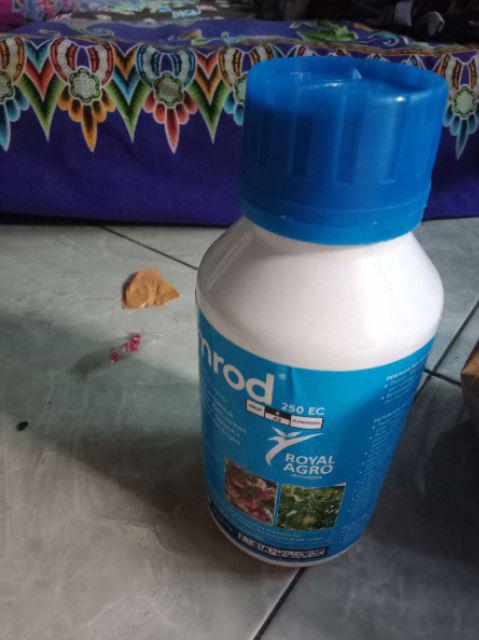 Fungisida Embun Tepung Nimrod Bupirimat 500 Ml Dr Royal Agro