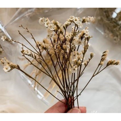 Five Dried Flowers Bundle - Paket Lima Bunga Kering