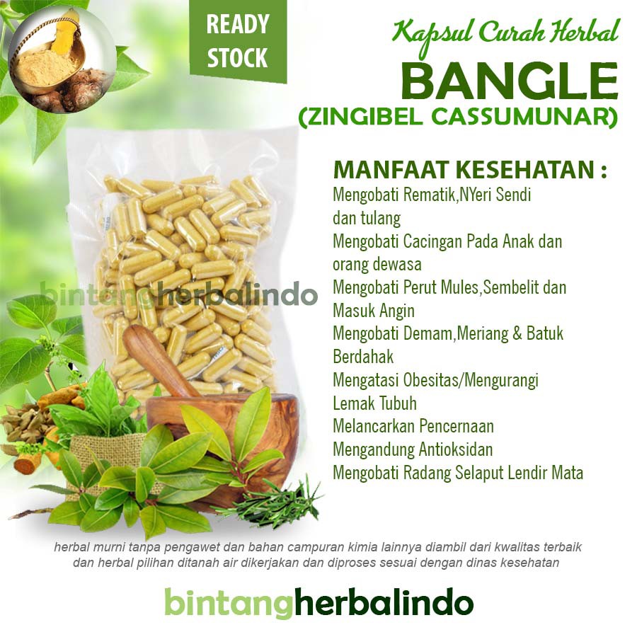 

BANGLE 100 Kapsul Herbal Antioksidan Nafsu Makan Rematik Lemak Tubuh