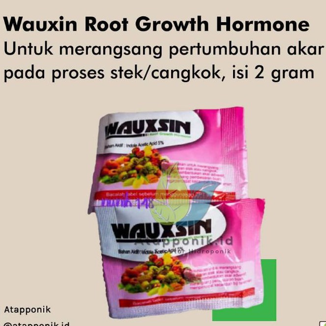 WAUXSIN wauxin zpt akar, hormon penumbuh akar tanaman