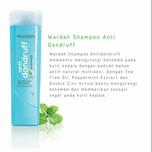 Wardah shampoo anti dandruff