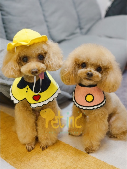 Pet 3D Donna bib