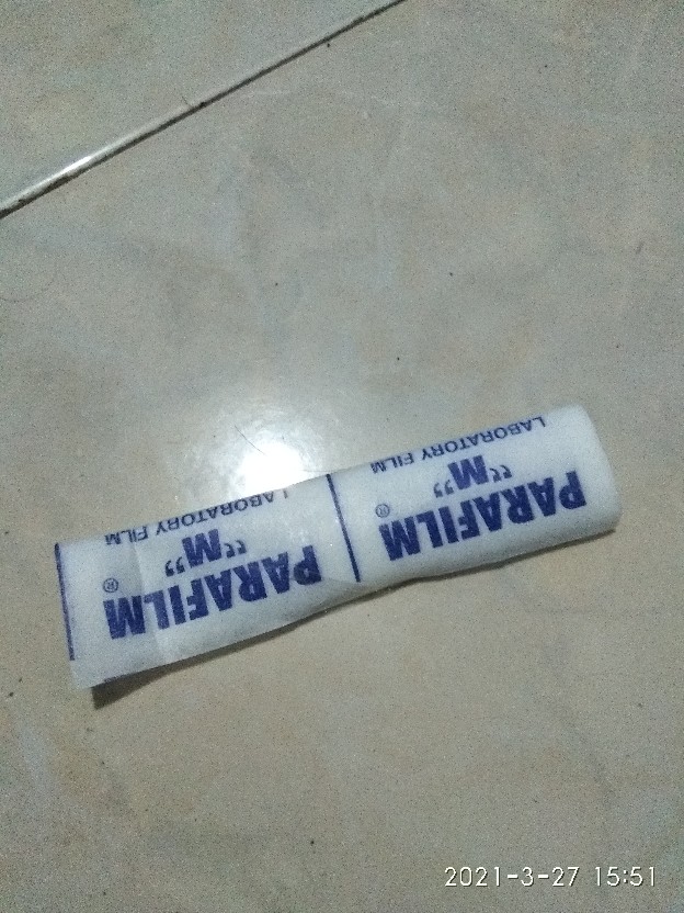 Parafilm M, Untuk Grafting/okulasi Ukuran 4 X 10 (10cm X 25cm)