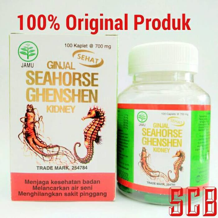 Baru Obat Sehat Ginjal Seahorse Ghenshen Kidney New