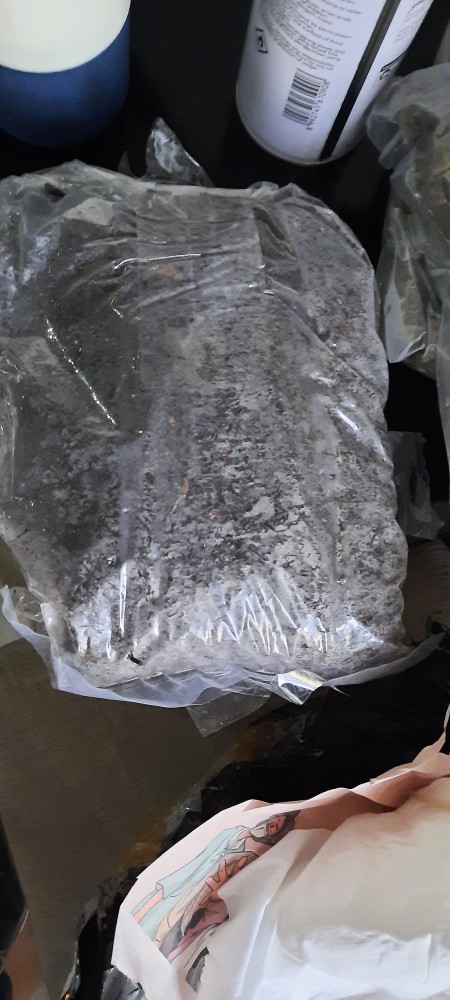 Media Tanam Akar Pakis