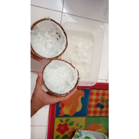Kelapa Kopyor Asli Khas Sumenep Madura. Minuman Kopyor.