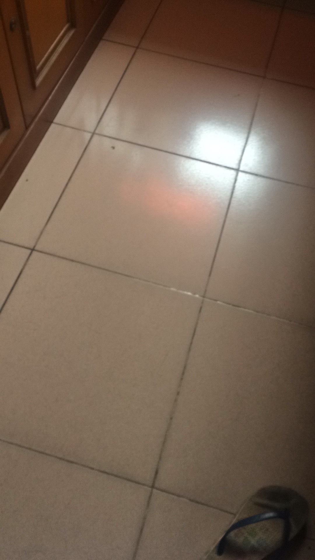 Benang Raja Kemeja Batik Pria Lengan Panjang Motif Daun Gugur