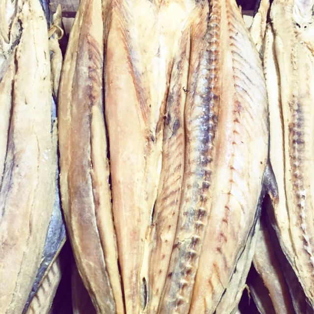 

Ikan Telang Tenggiri