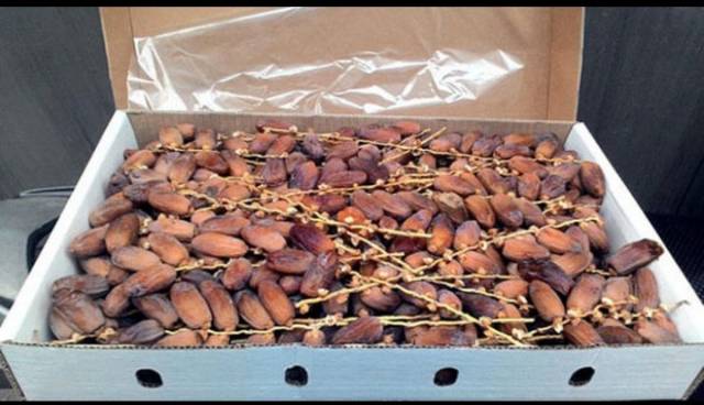 Kurma tunisia tangkai 5kg/oleh oleh haji dan umroh