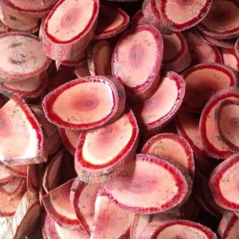 

FRESS/BASAH/BARU AMBIL DI HUTAN AKAR KAYU BAJAKAH TAMPALA MERAH ASLI DISKON 50%