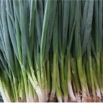 

Daun Bawang/ 250gr