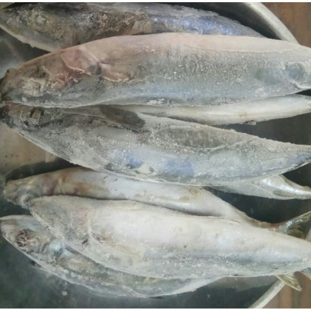 

Ikan layang jumbo Frozen FreshMart 1 Kg