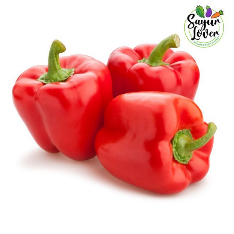 

Paprika Merah 1Pcs sayurlover