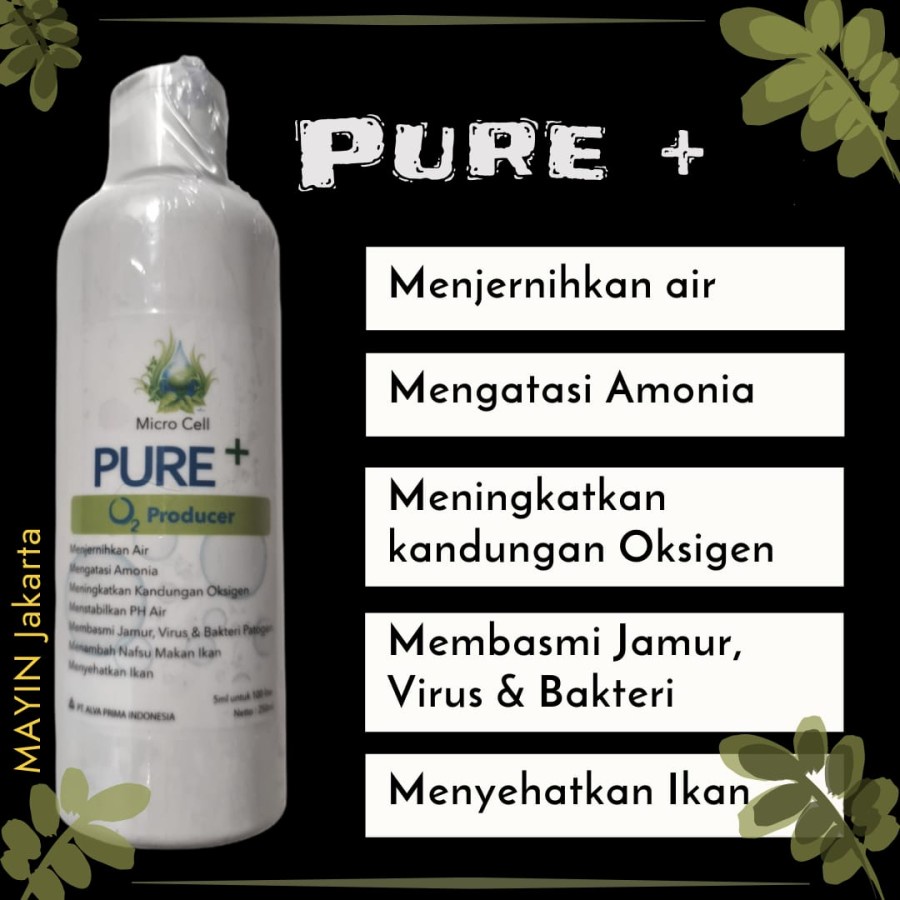 Pure+ Pure Plus Micro Cell Bactery Starter untuk aquarium kolam  Noasis pure +