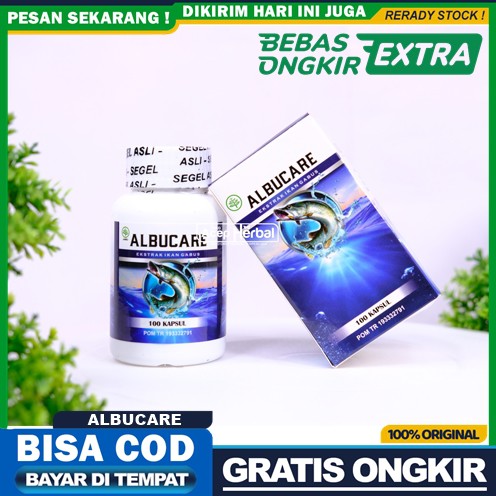 Obat Herbal Ginjal,Obat Gejala Ginjal,Obat Ginjal Bengkak,Ginjal Bocor, Ginjal Kotor,Infeksi Ginjal