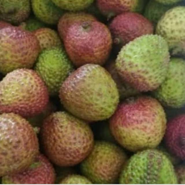 

LECI MADU/500GRAM