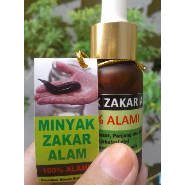 Minyak Lintah,Zakar Alam