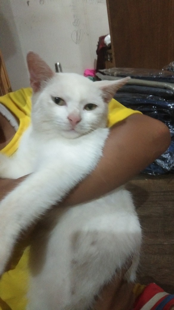 Best Seller Gamis Batik Manggar, Padi,sekar,cantik,kubis,kipas,daun,kupu,nadine,gendis