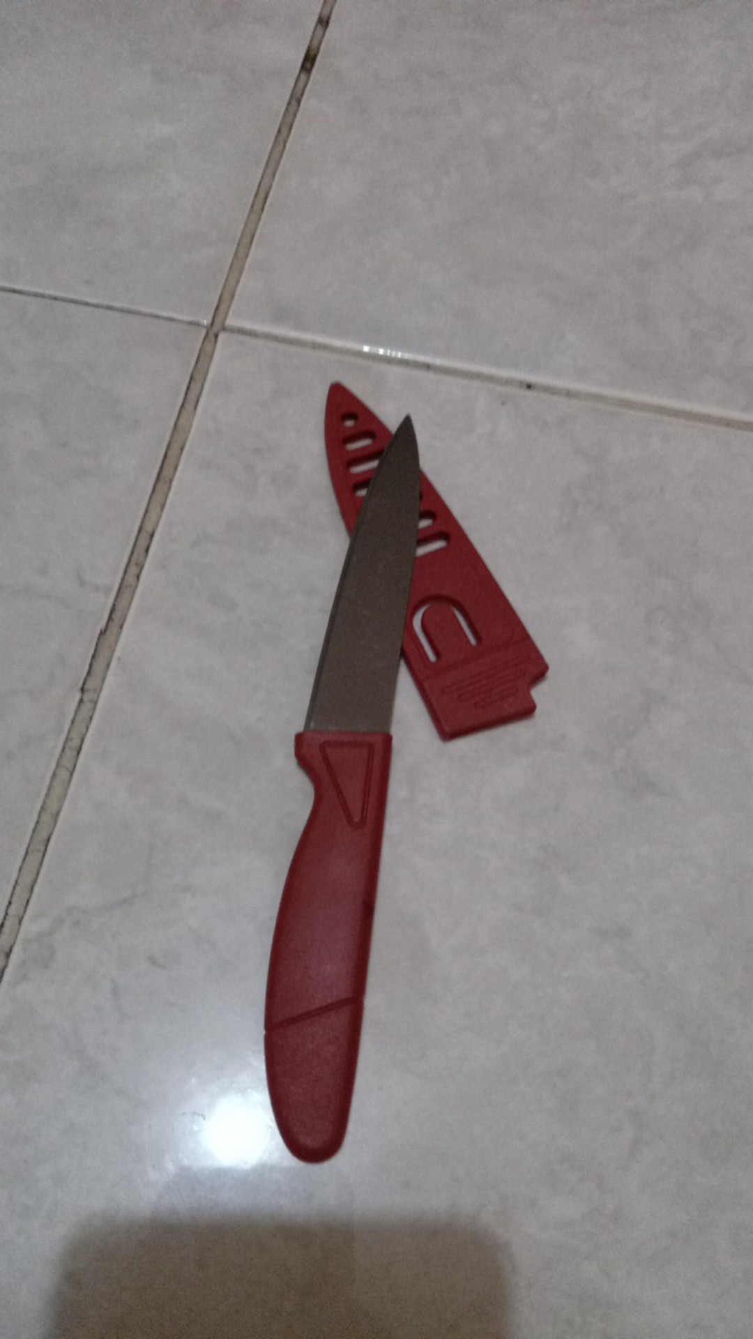 Pisau Dapur / Pisau Buah / Pisau Anti Karat / Pisau Serbaguna