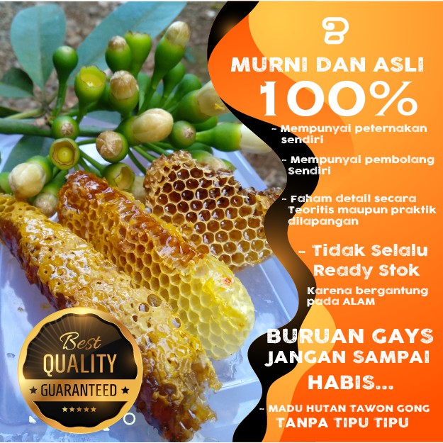 

Madu Sarang 500gr Nektar Bunga Randu dari lebah lokal