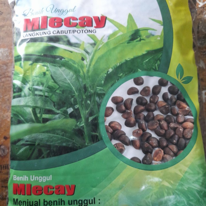 Benih kangkung super 1kg - benih biji kangkung - bibit kangkung